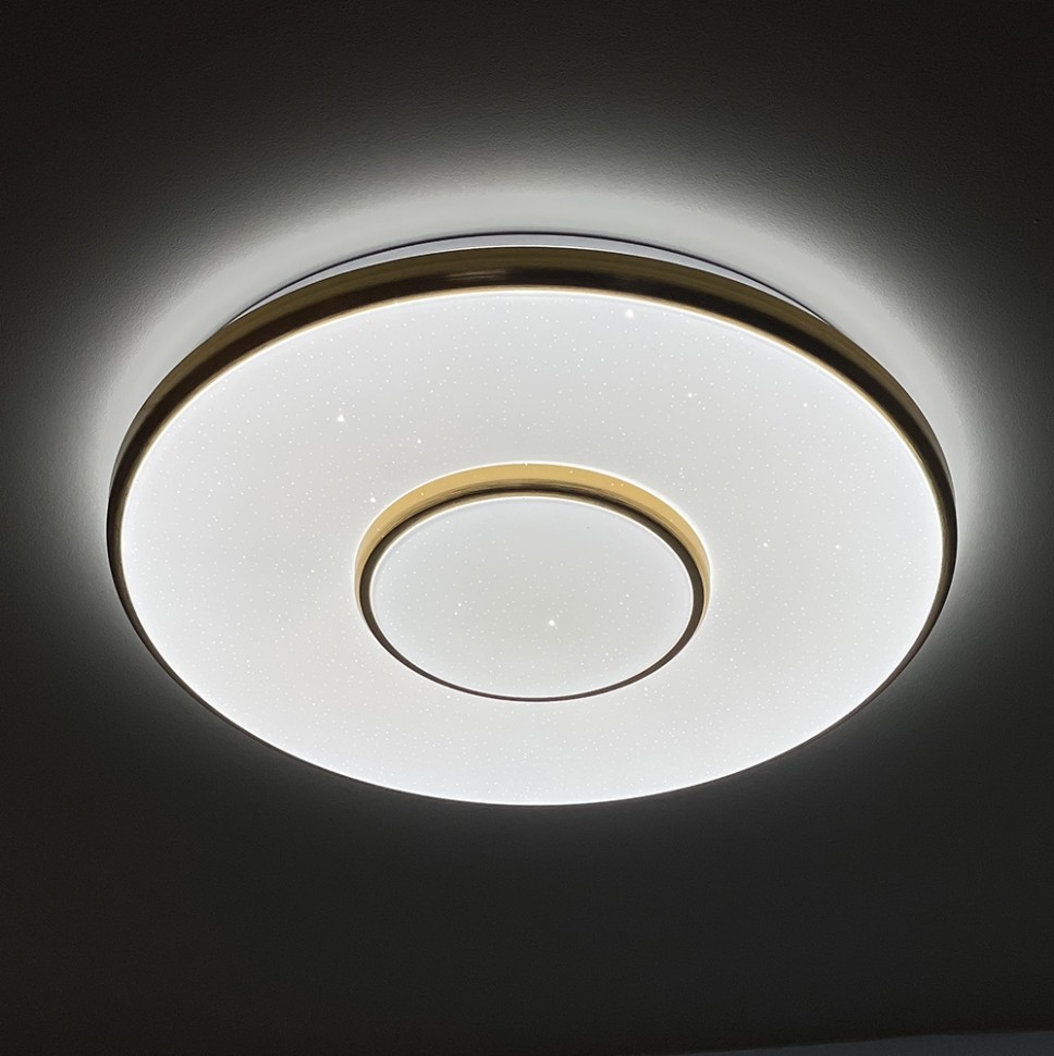 Настенно-потолочный светодиодный светильник Profit Light 2096/450 WH+CR 120W 3000-6000K