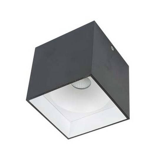 Dl18416/11WW-SQ Black/White Накладной точечный светильник Donolux