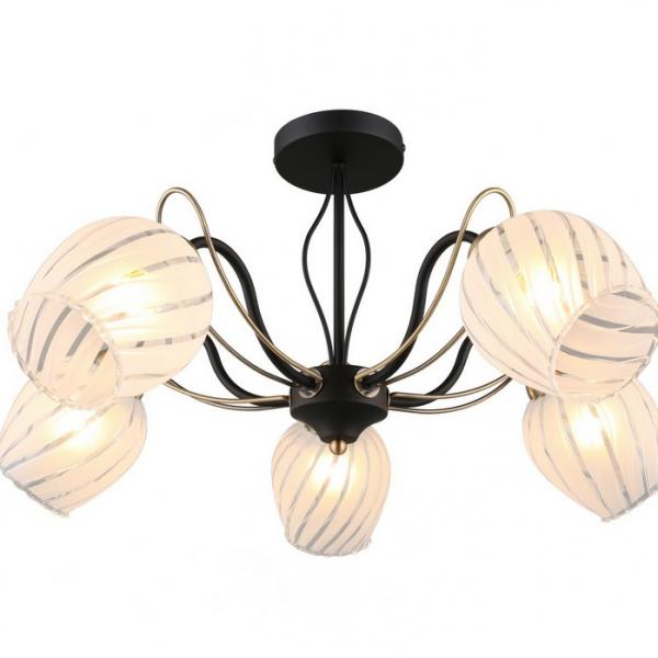 OML-65507-05 Потолочная люстра Omnilux Garda