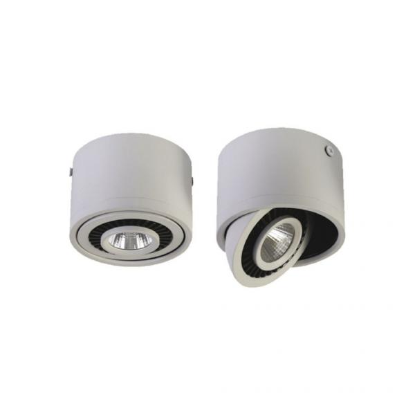 1775-1C Накладной поворотный светодиодный светильник Favourite Reflector