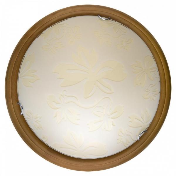TL9640Y-00OA Настенно-потолочный светодиодный светильник Toplight Jane