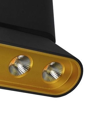 8005/3CS-BK-GD Светильник накладной светодиодный Lumien Hall Фергус