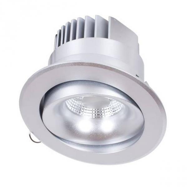 Dl18465/01WW-Silver R Встраиваемый точечный светильник Donolux